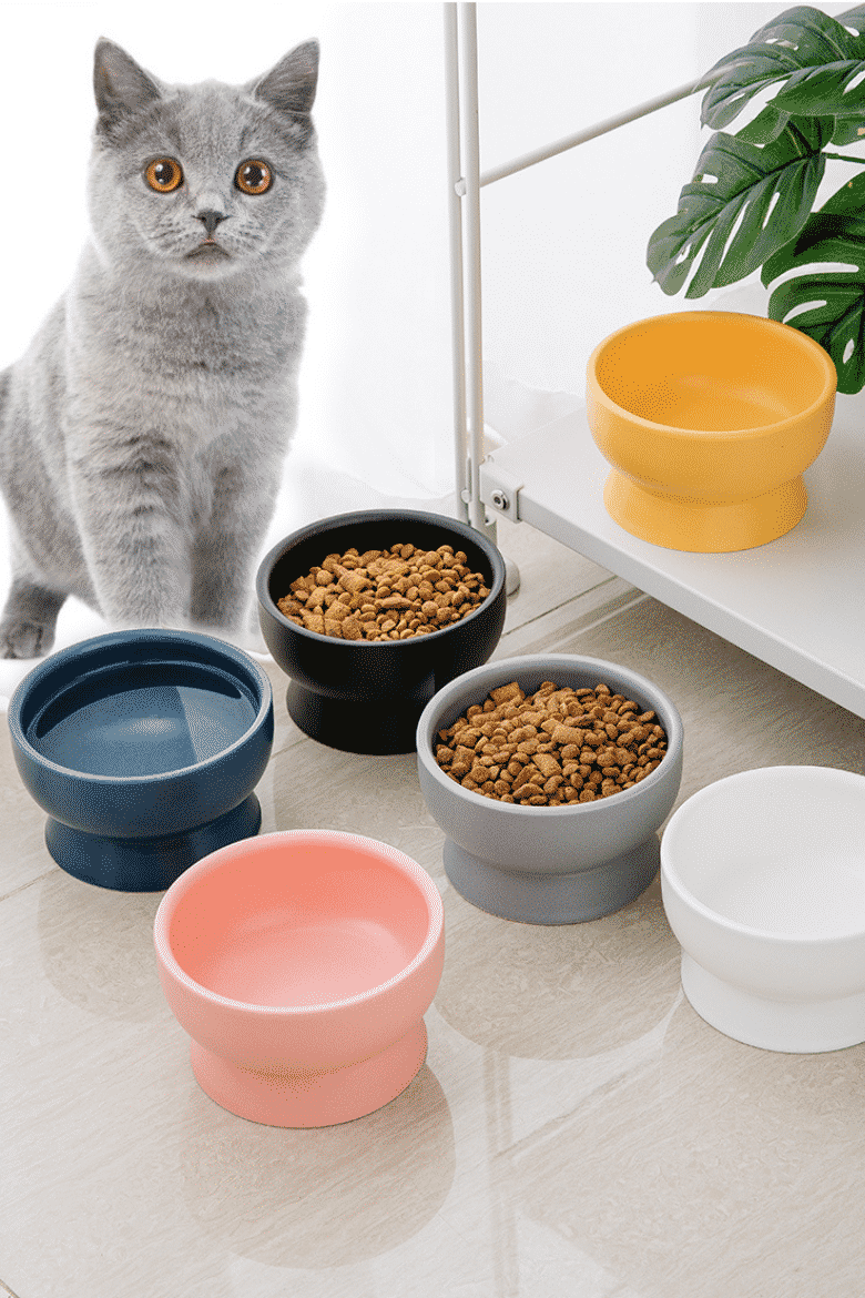Buy Pet Food & Accessories Online in Malaysia